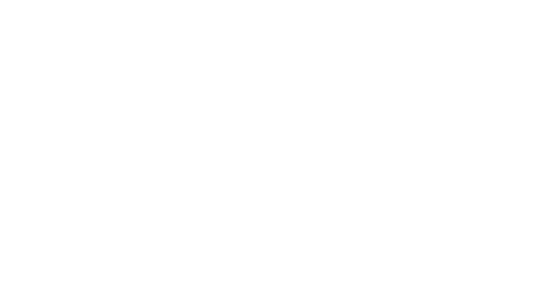 Nemawari Silk Mills