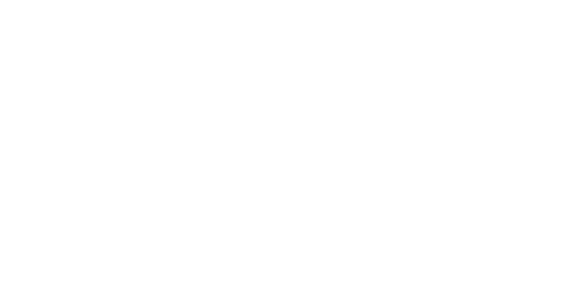 Nemawari Silk Mills